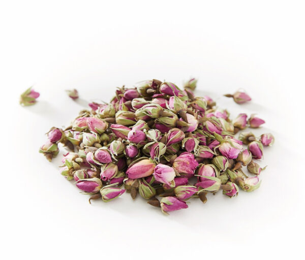 white background with a pile of pink persian rose buds